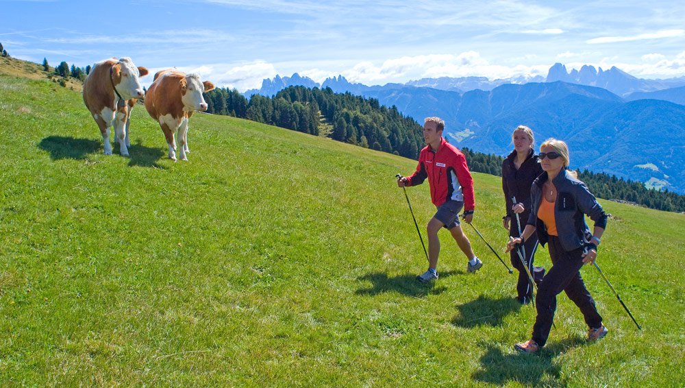 Sommerurlaub, Wanderurlaub in Feldthurns – Eisacktal